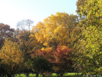 Arboretum Poortbulten